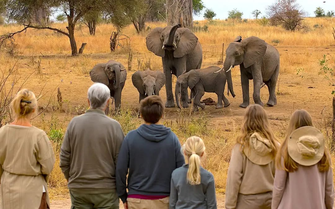 Tanzania Day Safari