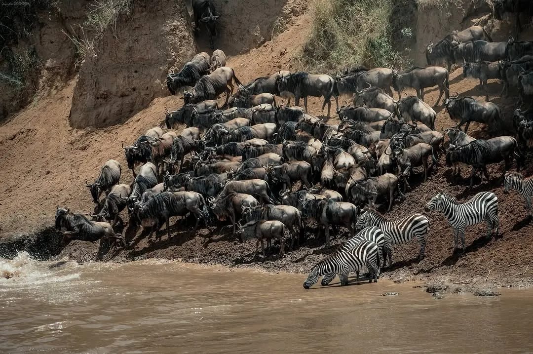 6-Day Tanzania Safari